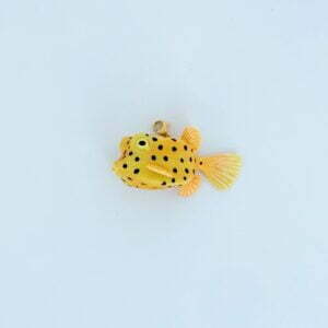 Bedel koffervis-Kiddeaus