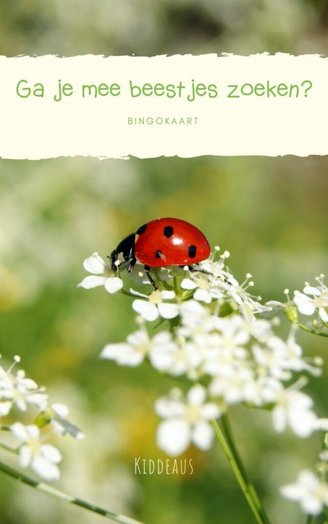 Ga je mee beestjes zoeken?-Bingokaart-Kiddeaus