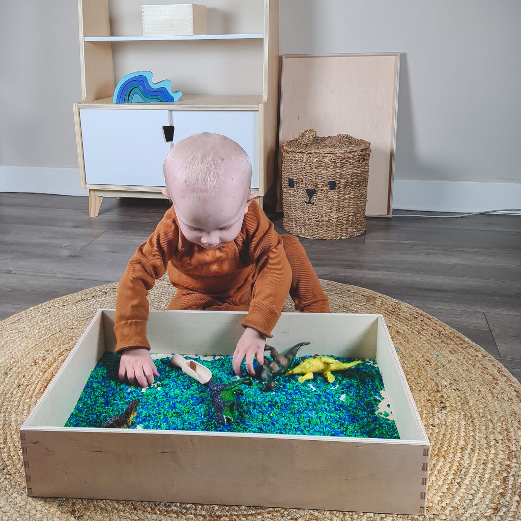 Sensomotorische speelrijst-Kiddeaus